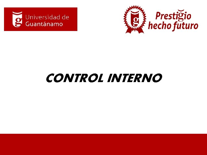 CONTROL INTERNO 