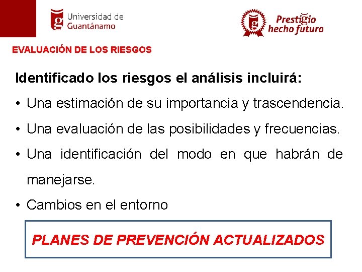 EVALUACIÓN DE LOS RIESGOS Identificado los riesgos el análisis incluirá: • Una estimación de