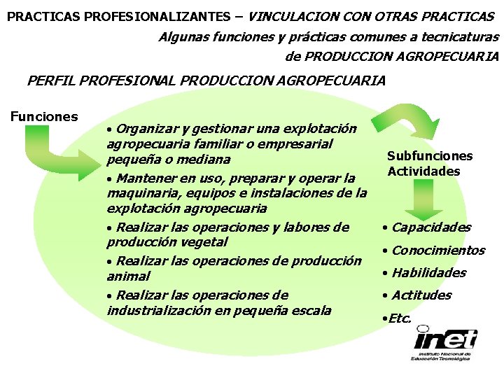 PRACTICAS PROFESIONALIZANTES – VINCULACION CON OTRAS PRACTICAS Algunas funciones y prácticas comunes a tecnicaturas