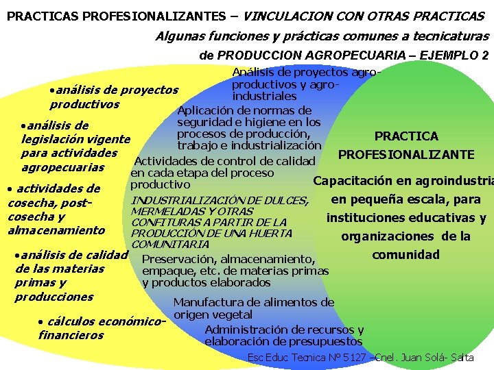 PRACTICAS PROFESIONALIZANTES – VINCULACION CON OTRAS PRACTICAS Algunas funciones y prácticas comunes a tecnicaturas