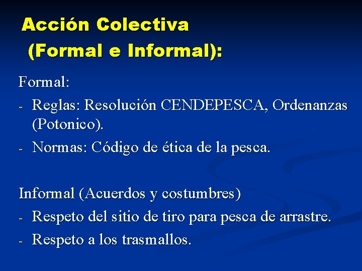 Acción Colectiva (Formal e Informal): Formal: - Reglas: Resolución CENDEPESCA, Ordenanzas (Potonico). - Normas: