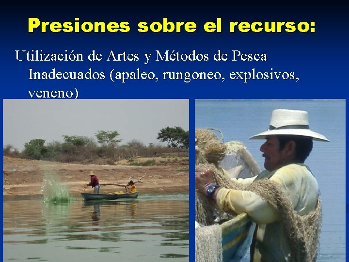 Presiones sobre el recurso: Utilización de Artes y Métodos de Pesca Inadecuados (apaleo, rungoneo,
