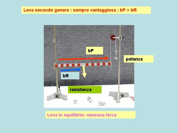 Leva secondo genere : sempre vantaggiosa : b. P > b. R b. P