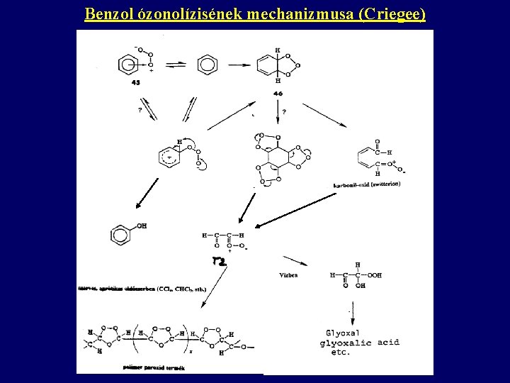Benzol ózonolízisének mechanizmusa (Criegee) 