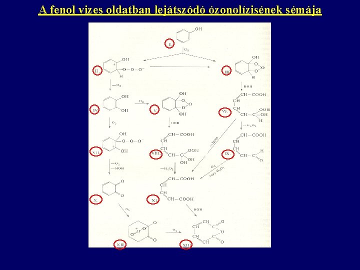 A fenol vizes oldatban lejátszódó ózonolízisének sémája 