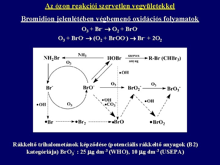 Az ózon reakciói szervetlen vegyületekkel Bromidion jelenlétében végbemenő oxidációs folyamatok O 3 + Br-