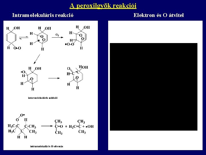 A peroxilgyök reakciói Intramolekuláris reakció Elektron és O átvitel 