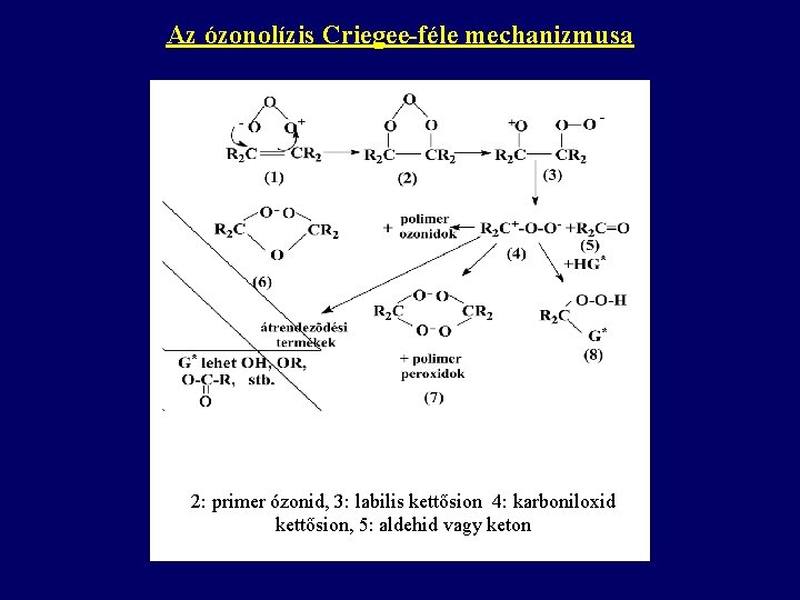 Az ózonolízis Criegee-féle mechanizmusa 2: primer ózonid, 3: labilis kettősion 4: karboniloxid kettősion, 5: