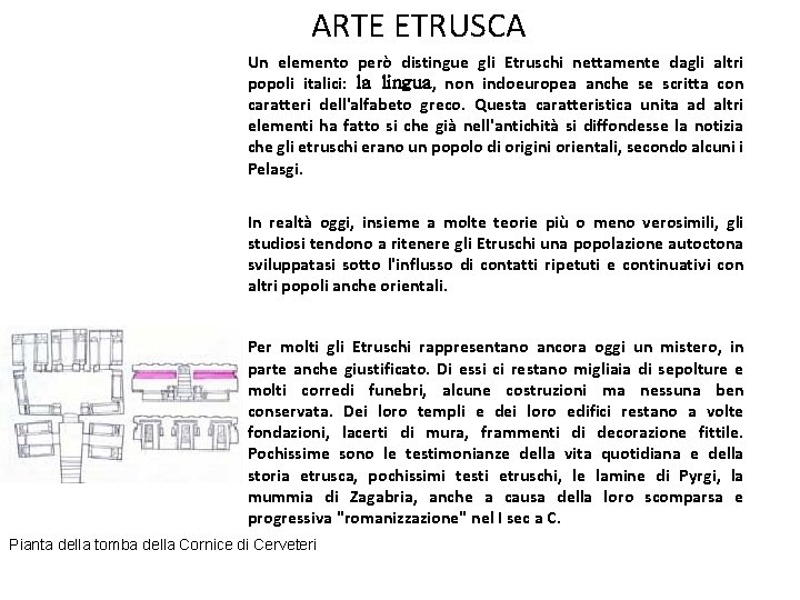 ARTE ETRUSCA Un elemento però distingue gli Etruschi nettamente dagli altri popoli italici: la