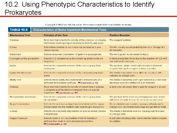 10. 2. Using Phenotypic Characteristics to Identify Prokaryotes 
