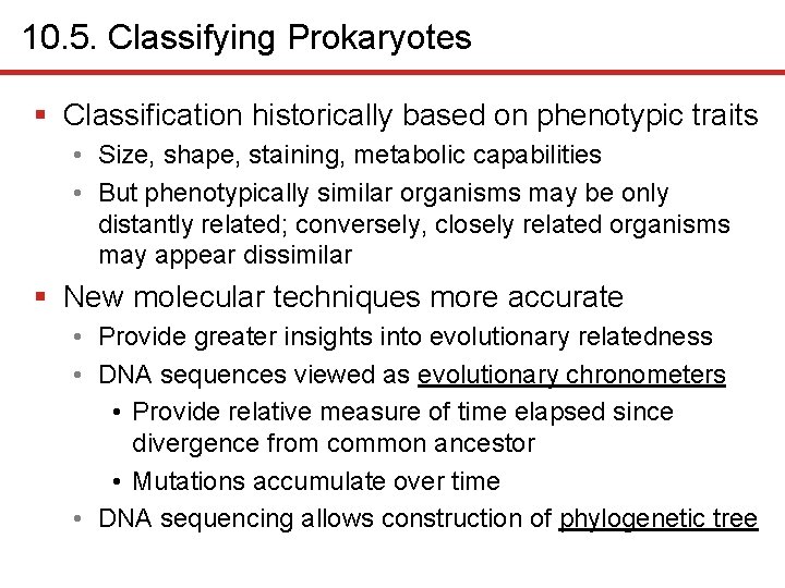 10. 5. Classifying Prokaryotes § Classification historically based on phenotypic traits • Size, shape,