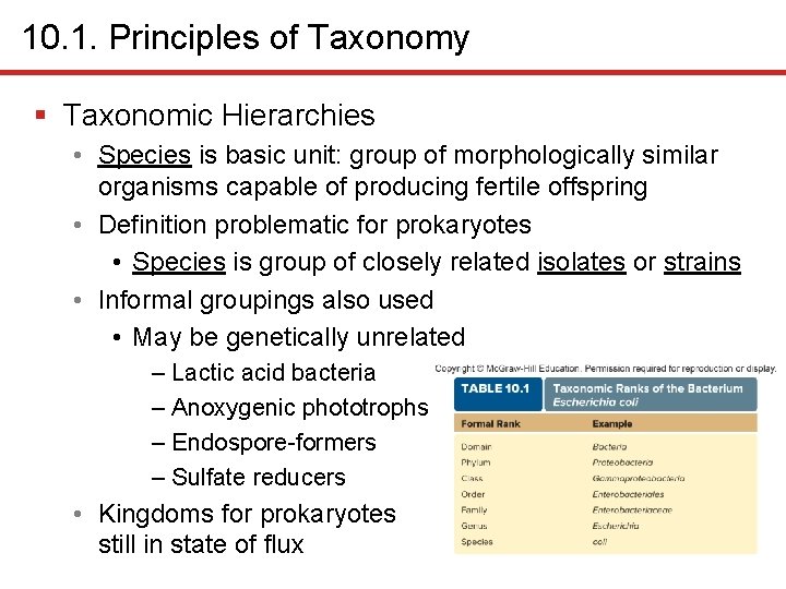 10. 1. Principles of Taxonomy § Taxonomic Hierarchies • Species is basic unit: group