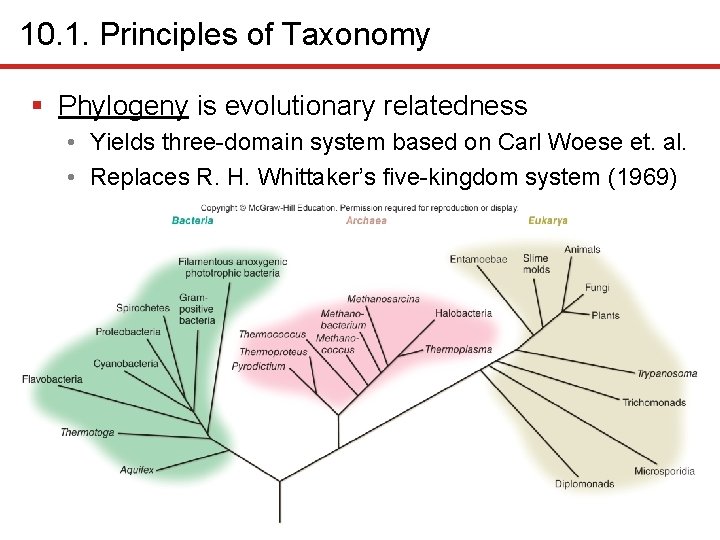 10. 1. Principles of Taxonomy § Phylogeny is evolutionary relatedness • Yields three-domain system