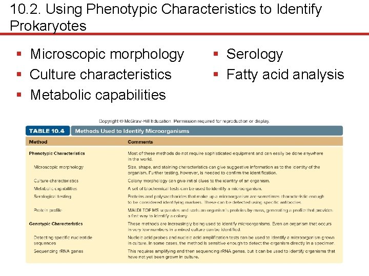 10. 2. Using Phenotypic Characteristics to Identify Prokaryotes § Microscopic morphology § Culture characteristics