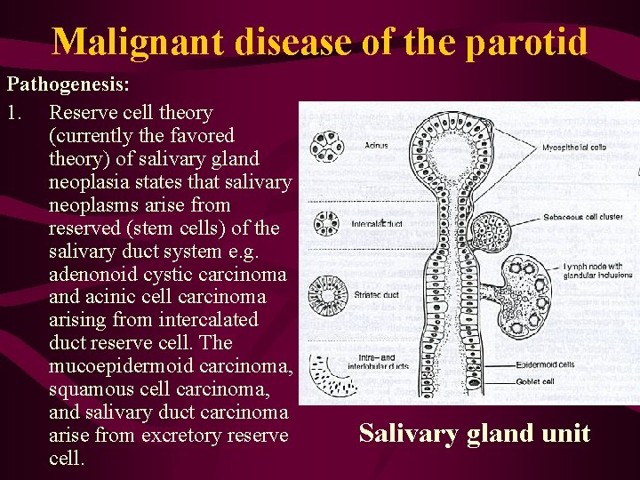 Malignant disease of the parotid Pathogenesis: 1. Reserve cell theory (currently the favored theory)