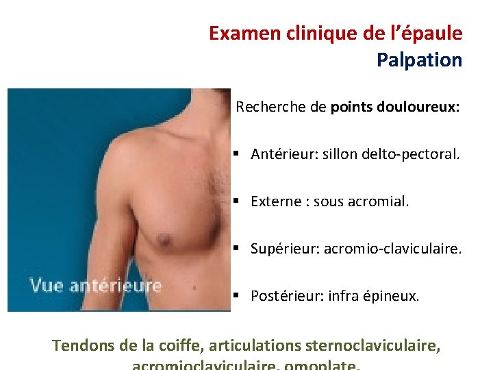 Examen clinique de l’épaule Palpation Recherche de points douloureux: § Antérieur: sillon delto-pectoral. §