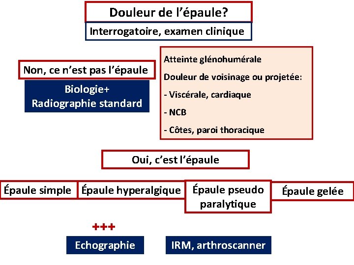 Douleur de l’épaule? Interrogatoire, examen clinique Non, ce n’est pas l’épaule Biologie+ Radiographie standard