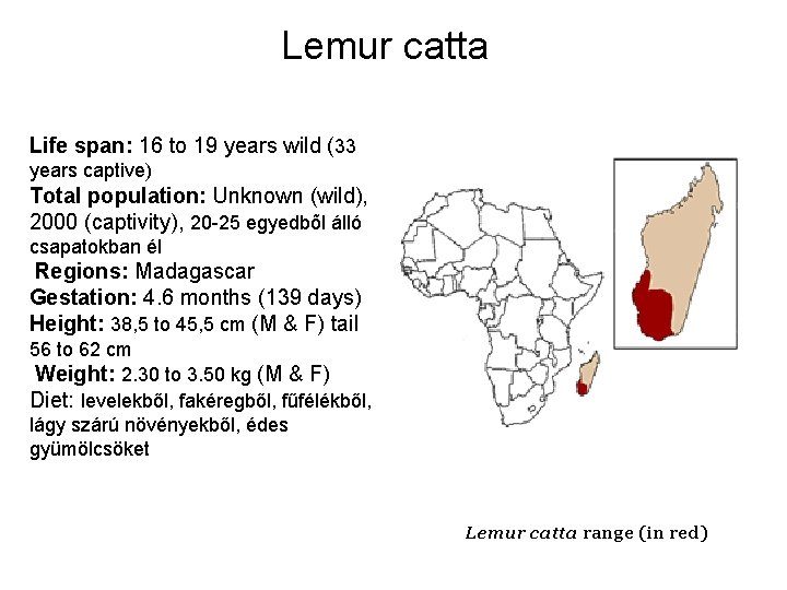 Lemur catta Life span: 16 to 19 years wild (33 years captive) Total population: