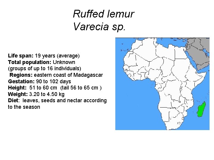 Ruffed lemur Varecia sp. Life span: 19 years (average) Total population: Unknown (groups of