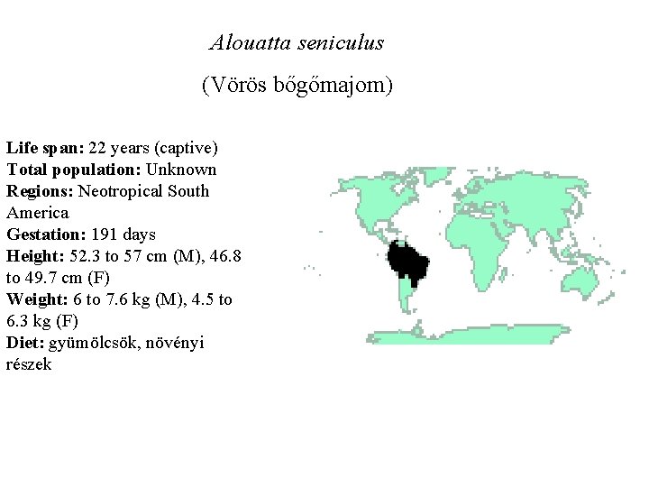 Alouatta seniculus (Vörös bőgőmajom) Life span: 22 years (captive) Total population: Unknown Regions: Neotropical