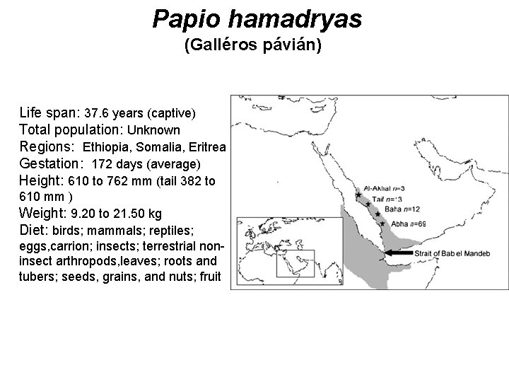 Papio hamadryas (Galléros pávián) Life span: 37. 6 years (captive) Total population: Unknown Regions: