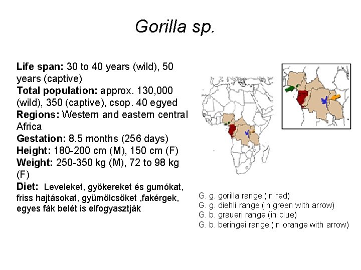 Gorilla sp. Life span: 30 to 40 years (wild), 50 years (captive) Total population: