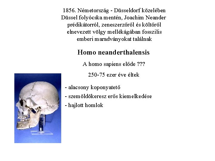 1856. Németország - Düsseldorf közelében Düssel folyócska mentén, Joachim Neander prédikátorról, zeneszerzőről és költőről