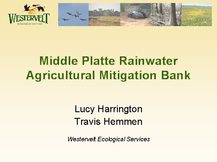 Middle Platte Rainwater Agricultural Mitigation Bank Lucy Harrington Travis Hemmen Westervelt Ecological Services 