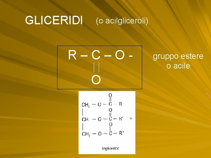 GLICERIDI (o acilgliceroli) R–C–OO gruppo estere o acile GLICERIDI (o acilgliceroli) R–C–OO gruppo estere o acile