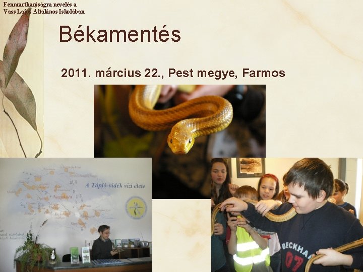 Fenntarthatóságra nevelés a Vass Lajos Általános Iskolában Békamentés 2011. március 22. , Pest megye,