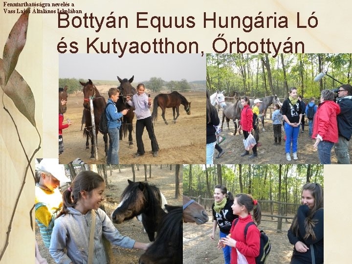 Fenntarthatóságra nevelés a Vass Lajos Általános Iskolában Bottyán Equus Hungária Ló és Kutyaotthon, Őrbottyán