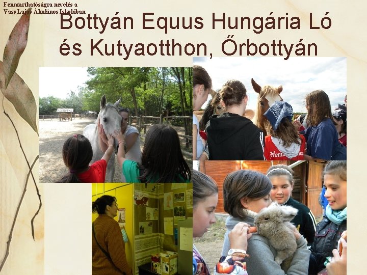 Fenntarthatóságra nevelés a Vass Lajos Általános Iskolában Bottyán Equus Hungária Ló és Kutyaotthon, Őrbottyán