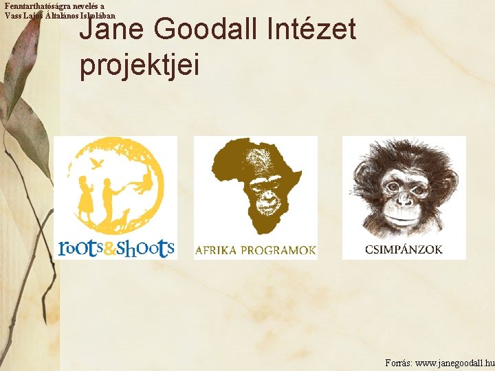 Fenntarthatóságra nevelés a Vass Lajos Általános Iskolában Jane Goodall Intézet projektjei Forrás: www. janegoodall.