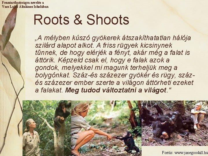 Fenntarthatóságra nevelés a Vass Lajos Általános Iskolában Roots & Shoots „A mélyben kúszó gyökerek