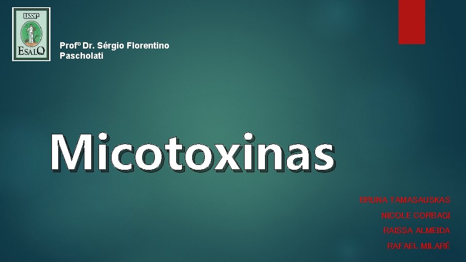 Profº Dr. Sérgio Florentino Pascholati Micotoxinas BRUNA TAMASAUSKAS NICOLE CORBAGI RAISSA ALMEIDA RAFAEL MILARÉ