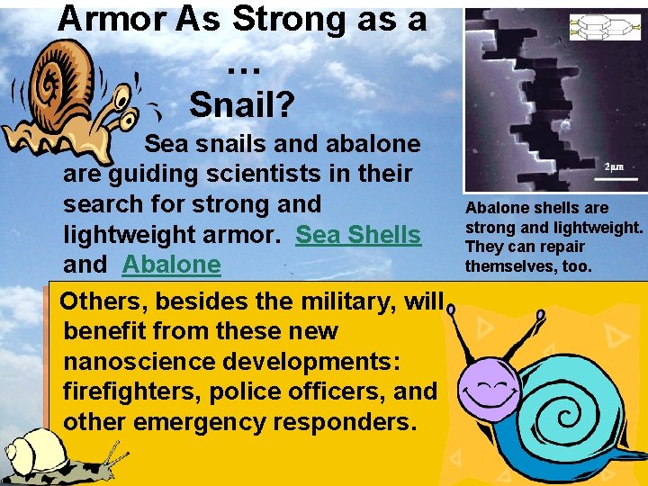 Armor As Strong as a … Snail? Sea snails and abalone are guiding scientists