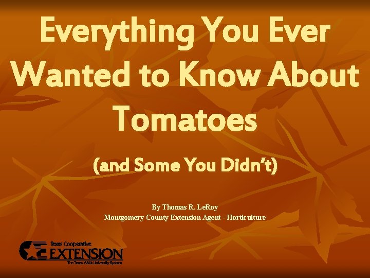 Everything You Ever Wanted to Know About Tomatoes (and Some You Didn’t) By Thomas