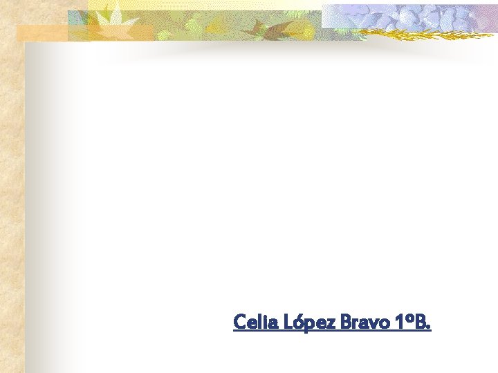 Celia López Bravo 1ºB. 