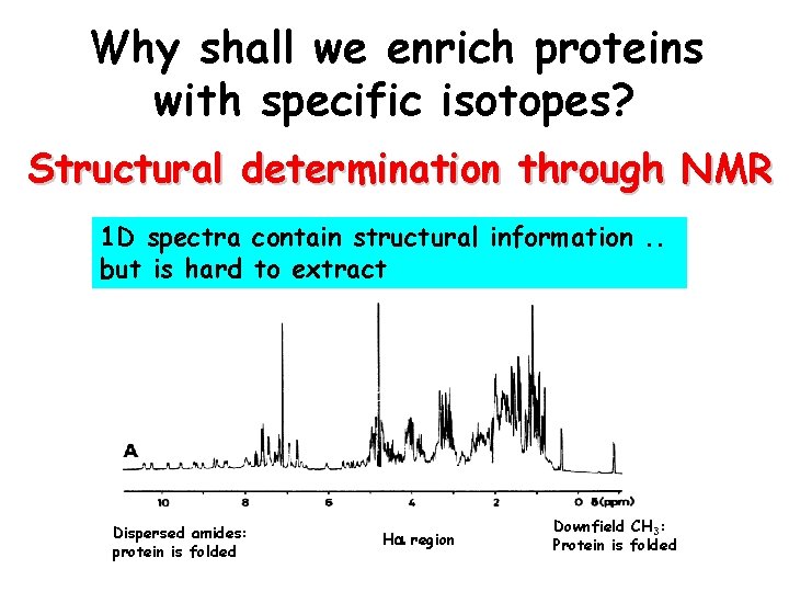 Why shall we enrich proteins with specific isotopes? Structural determination through NMR 1 D