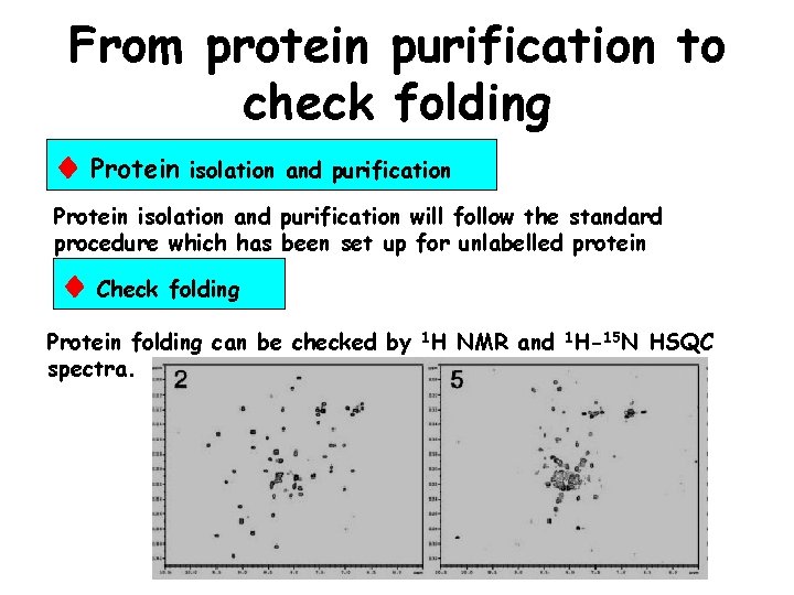 From protein purification to check folding Protein isolation and purification will follow the standard