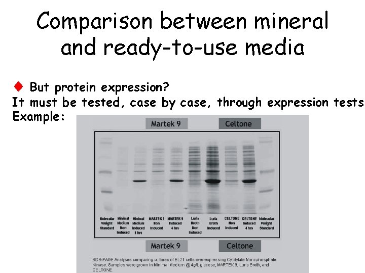 Comparison between mineral and ready-to-use media But protein expression? It must be tested, case