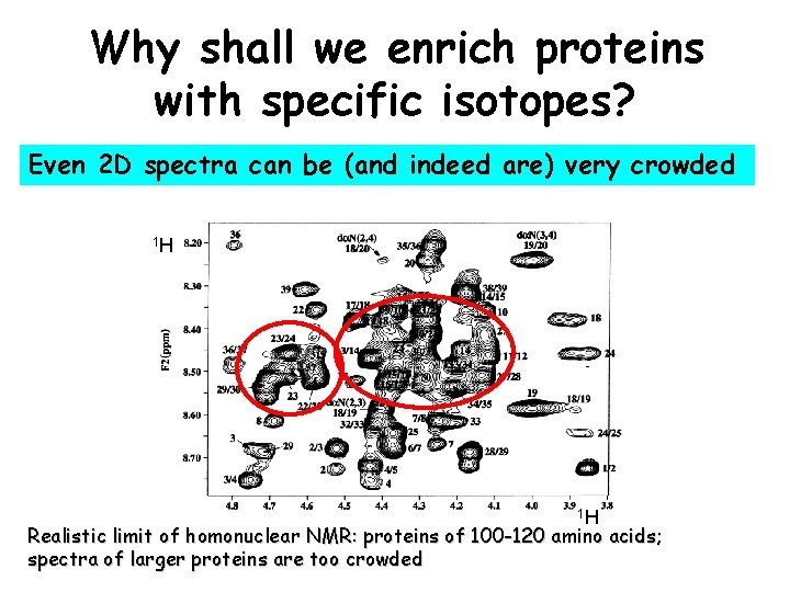 Why shall we enrich proteins with specific isotopes? Even 2 D spectra can be