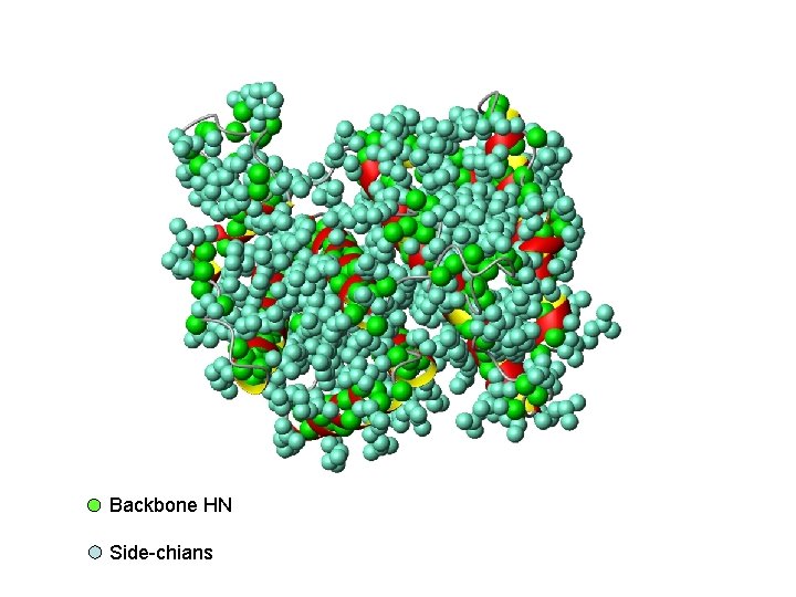 Backbone HN Side-chians 