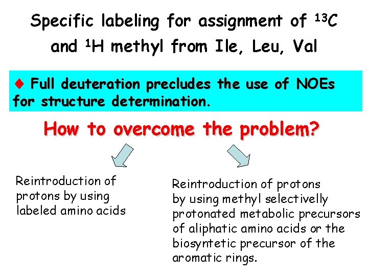 Specific labeling for assignment of 13 C and 1 H methyl from Ile, Leu,