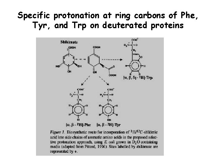 Specific protonation at ring carbons of Phe, Tyr, and Trp on deuterated proteins 