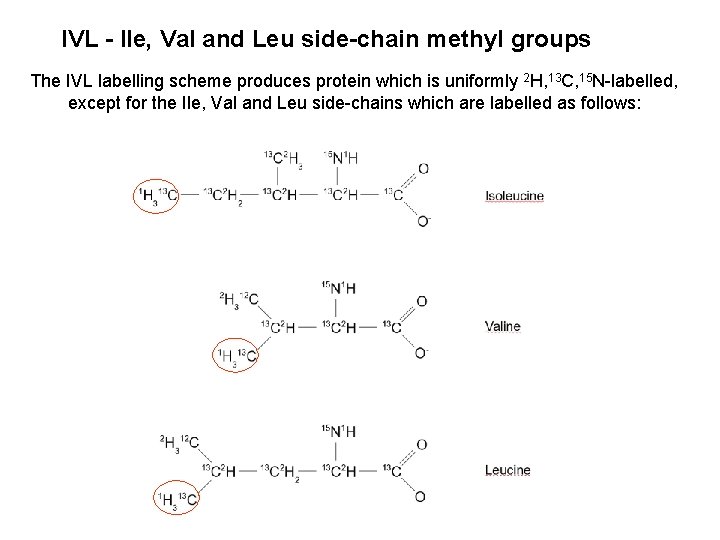 IVL - Ile, Val and Leu side-chain methyl groups The IVL labelling scheme produces