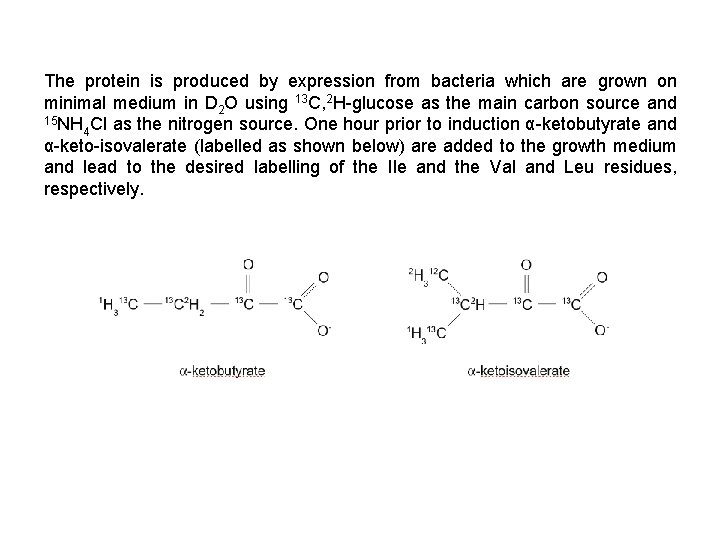 The protein is produced by expression from bacteria which are grown on minimal medium