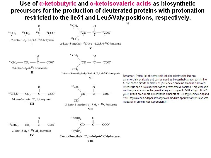 Use of α-ketobutyric and α-ketoisovaleric acids as biosynthetic precursors for the production of deuterated