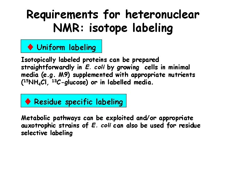 Requirements for heteronuclear NMR: isotope labeling Uniform labeling Isotopically labeled proteins can be prepared