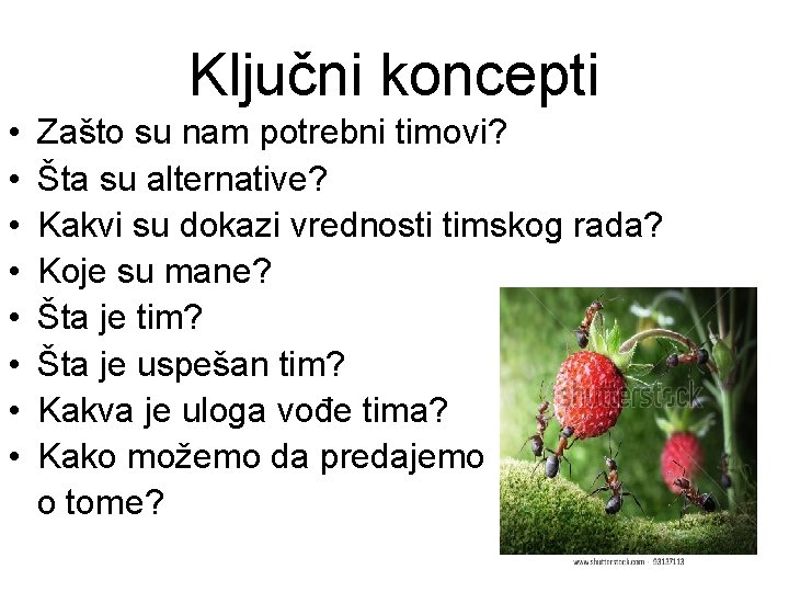 Ključni koncepti • • Zašto su nam potrebni timovi? Šta su alternative? Kakvi su